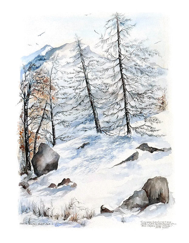 AQUARELLE