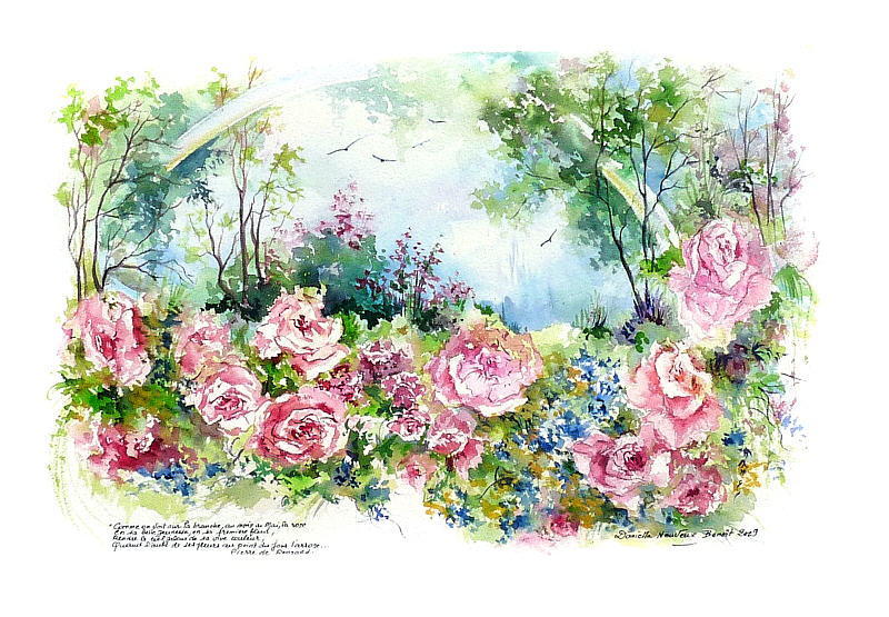 AQUARELLE